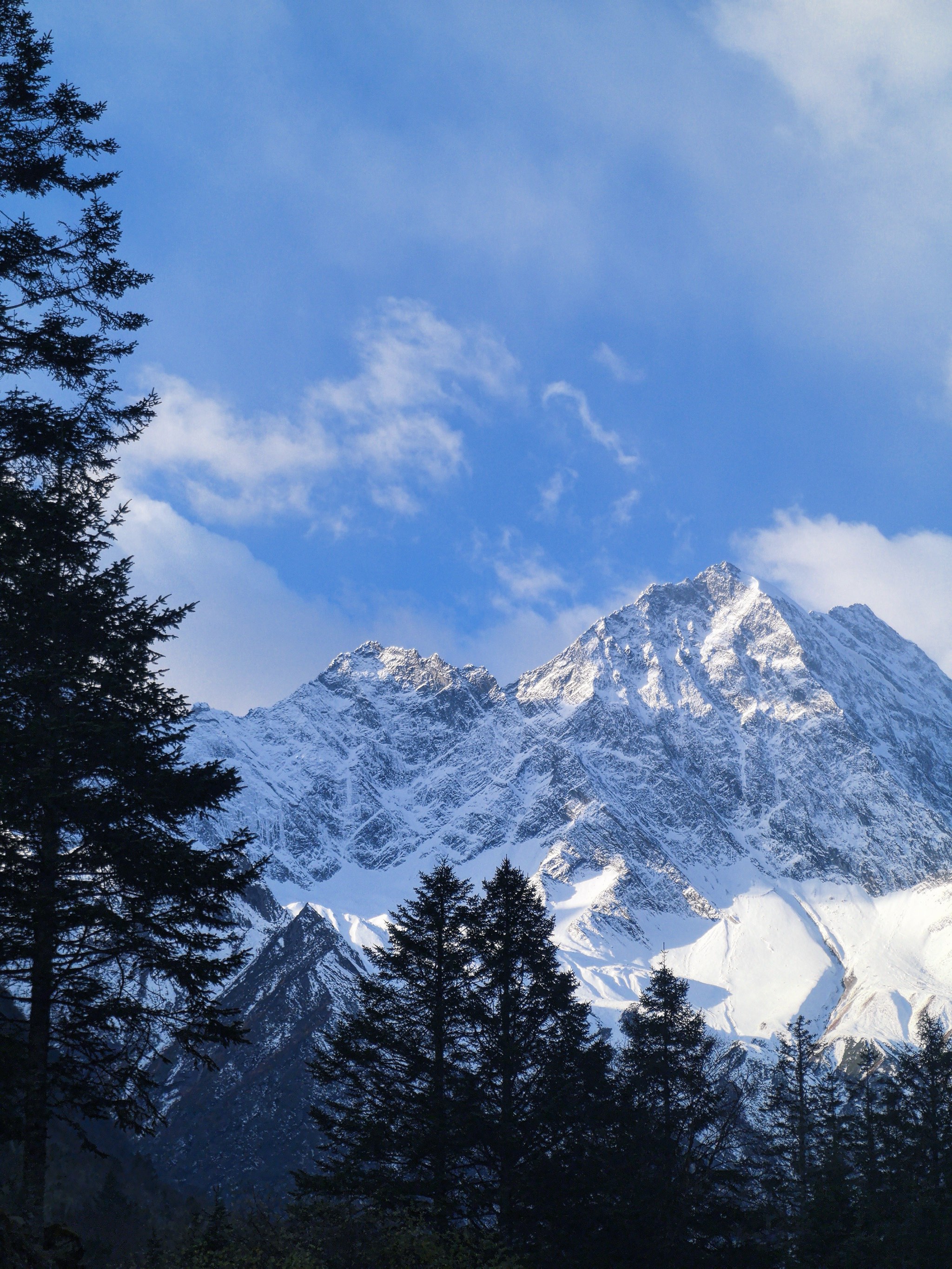 抖音极速版